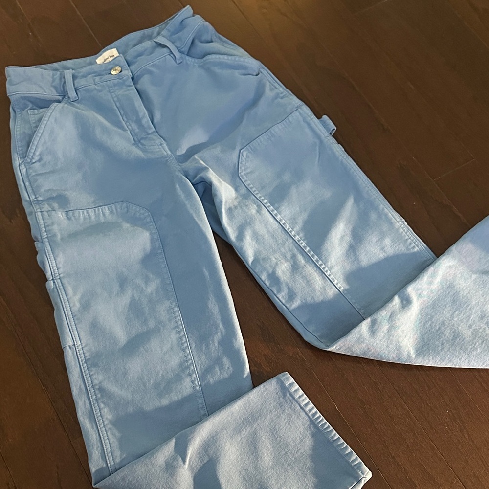 Aritzia Blue Cargo Pants